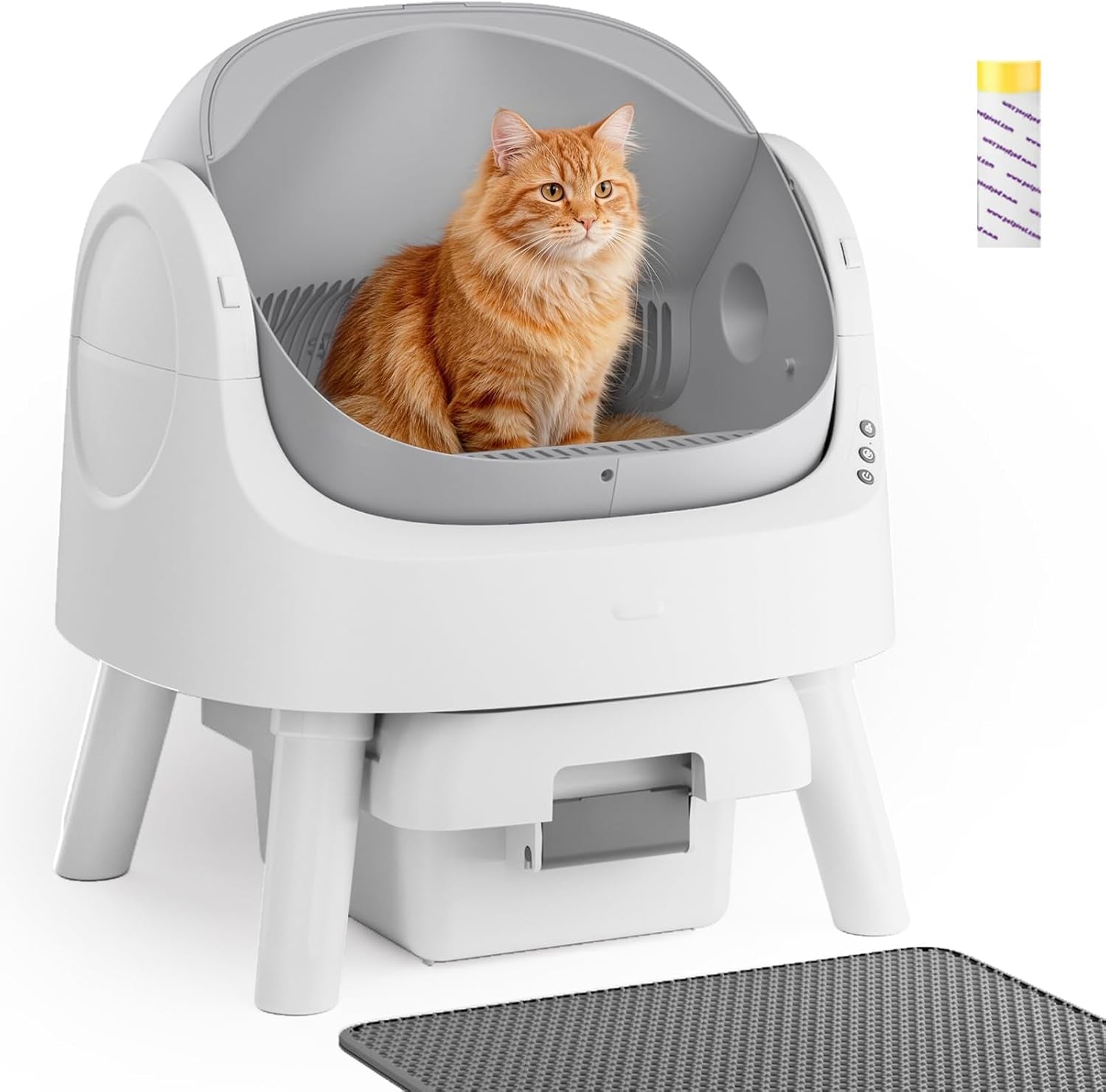 Self cleaning cat litter box for multiple cats with open top design and odor control