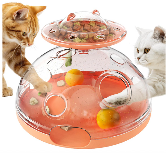 Cat Puzzle Toy