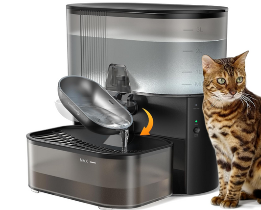 Wireless Cat Water Fountain No Filters